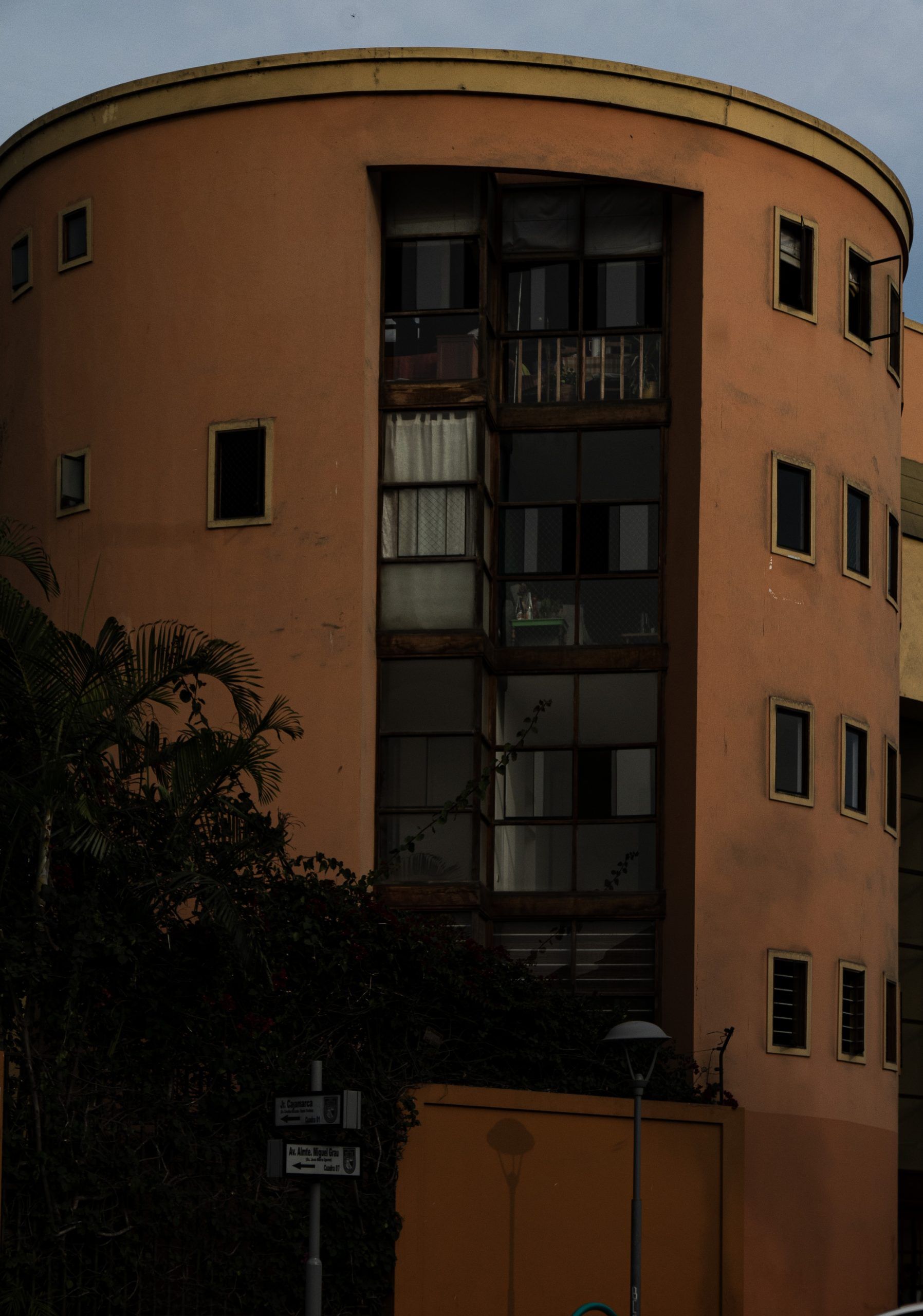 Brown Lima