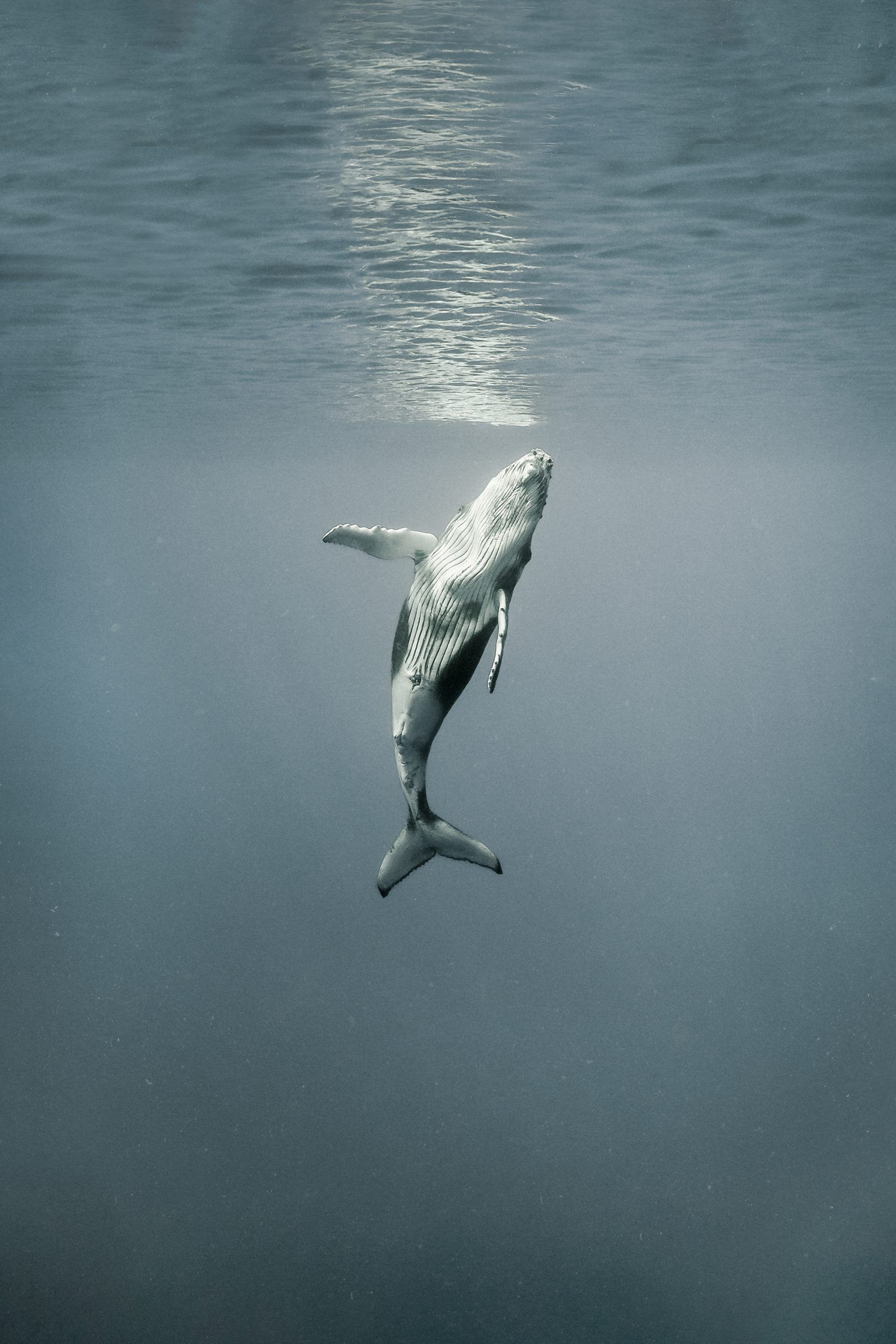 Breathe