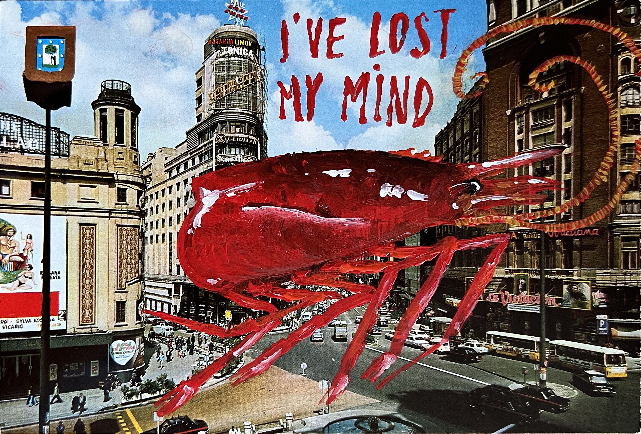 I've lost my mind
