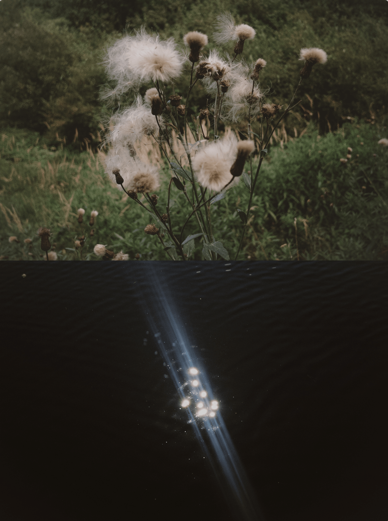 13.09