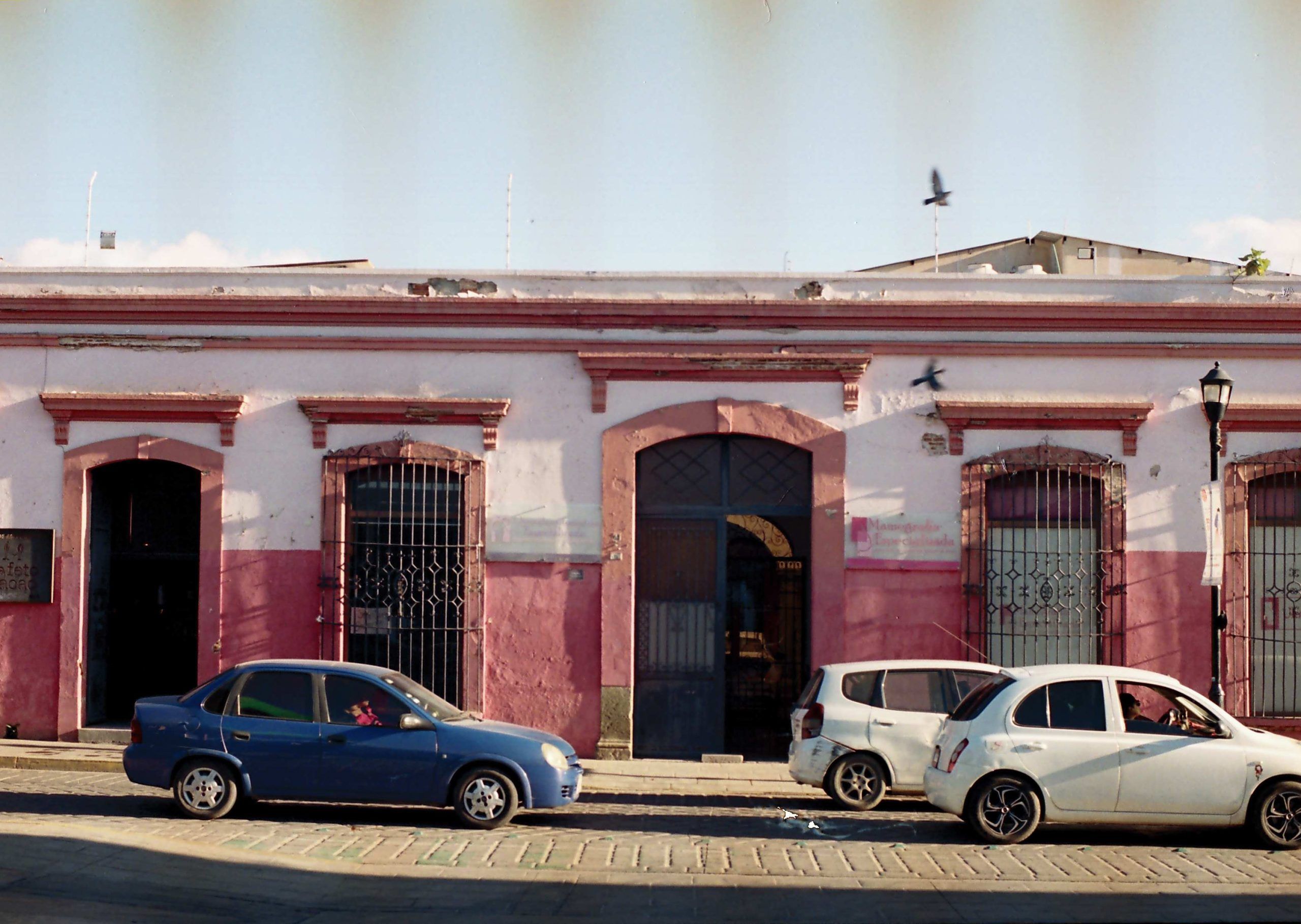 Vuelo