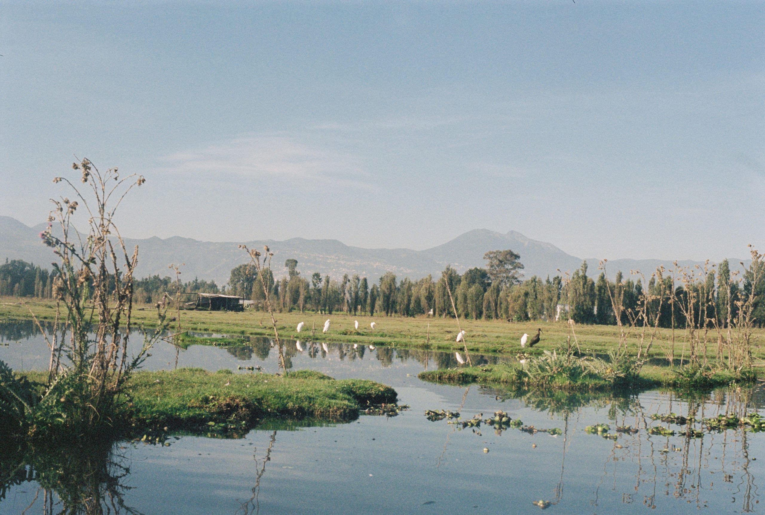 Xochimilco