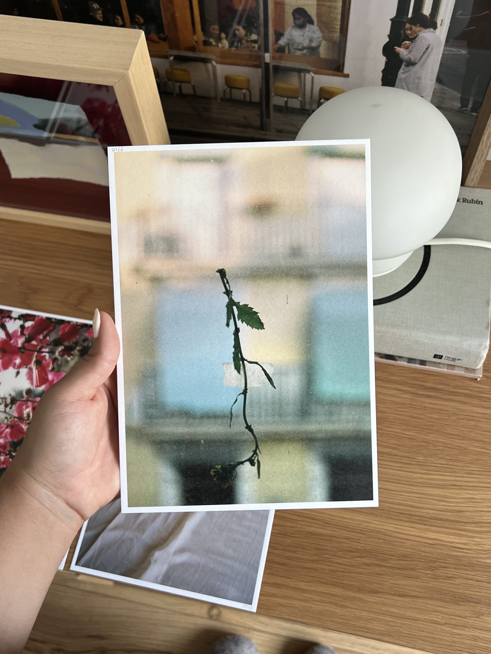 16.05