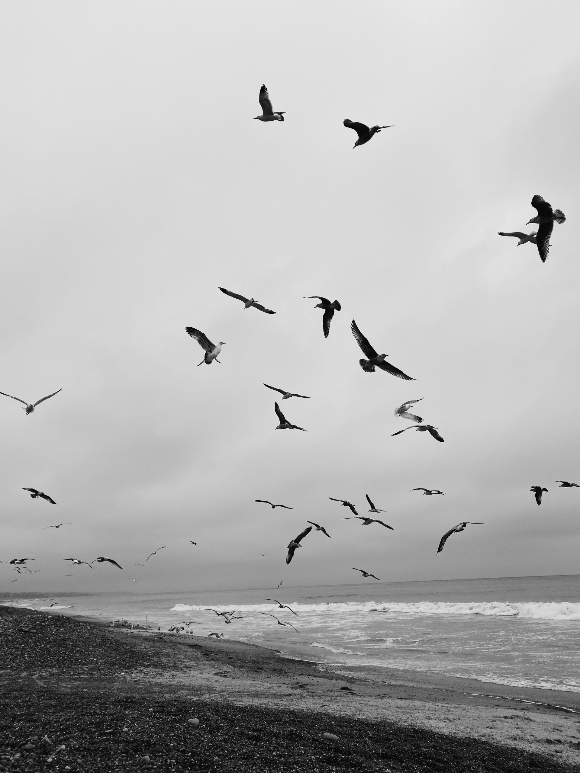 Freedom