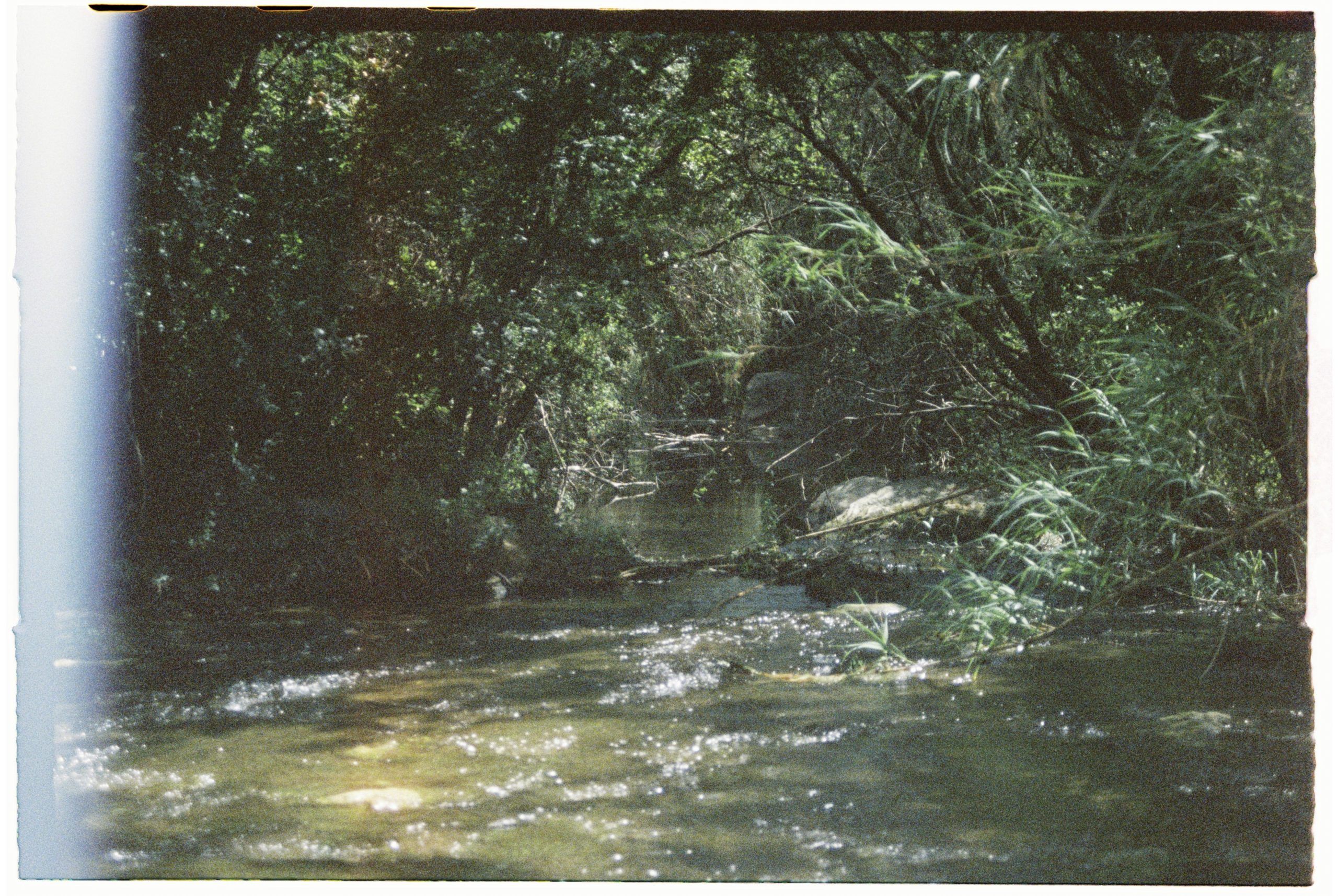 Sounds of nature